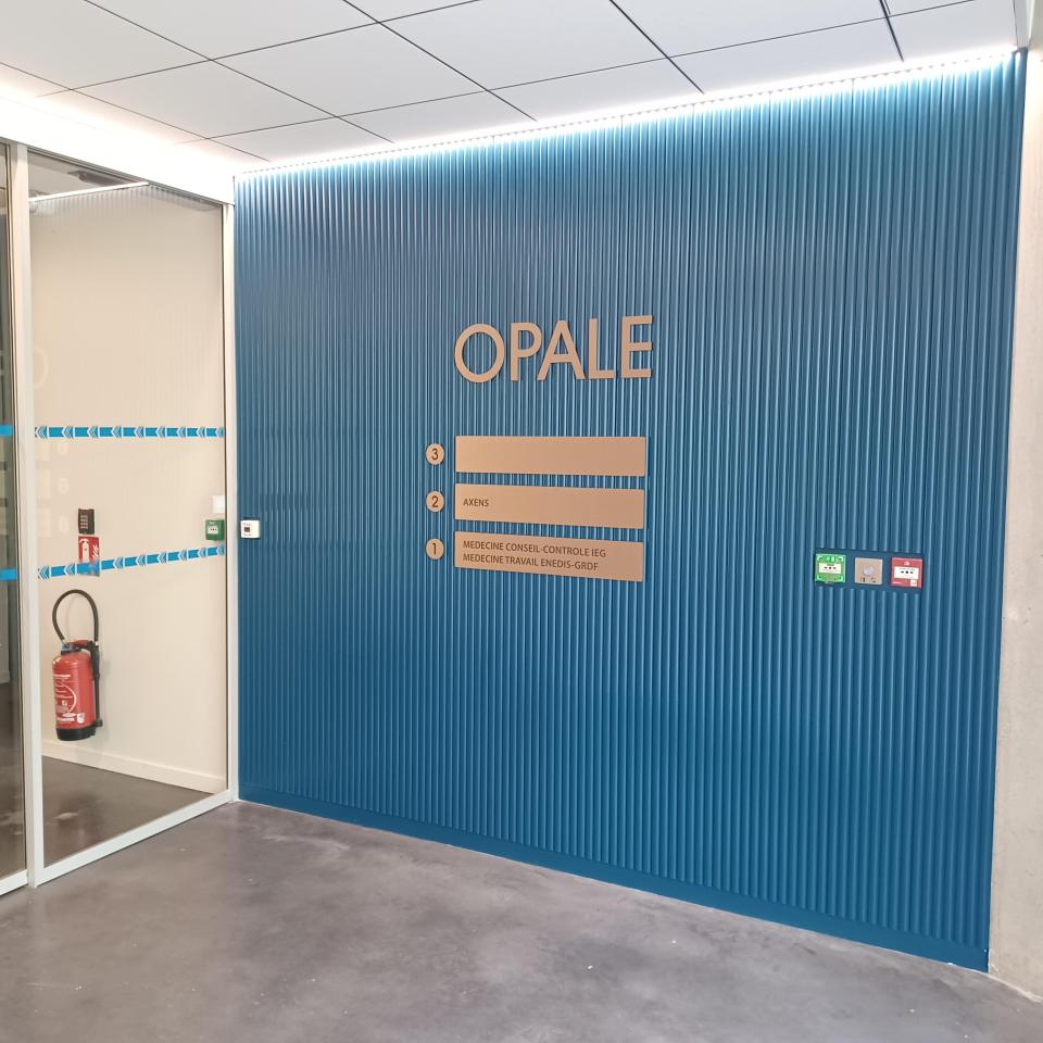 Bureau Lyon 1369m² Location bureau Lyon Rhône OLBUR2108998 13
